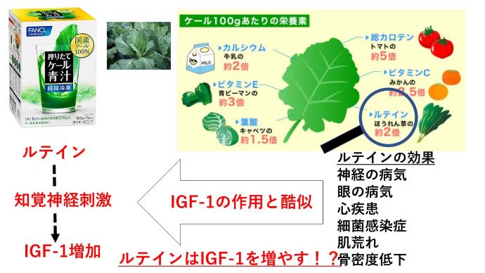 円形脱毛症　名医